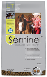 Sentinel LifeTime image