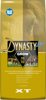 Dynasty XT Grow 16/10 image