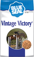 Vintage Victory image