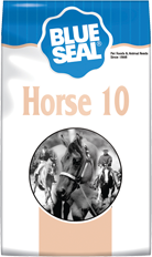 Horse 10 image
