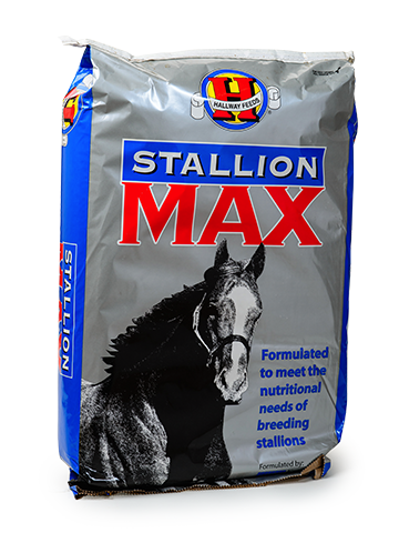 Stallion Max image