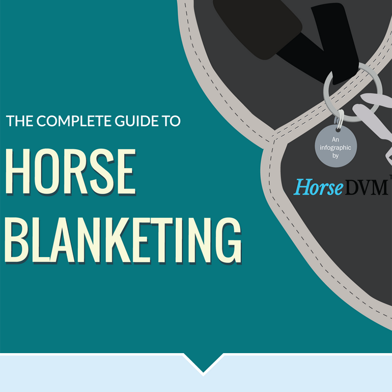 The Complete Guide to Horse Blanketing