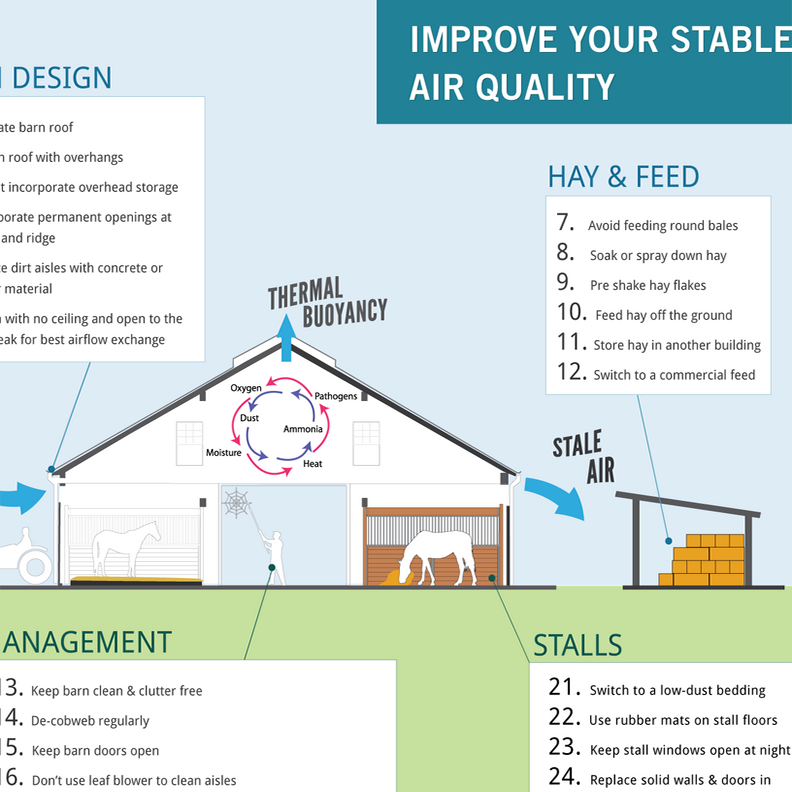 25 Ways to Improve your Stable's Air Quality