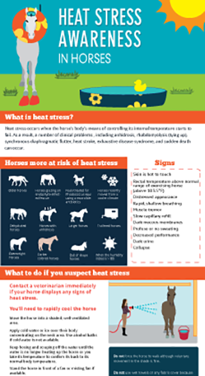 Heat Stress Awareness in Horses image