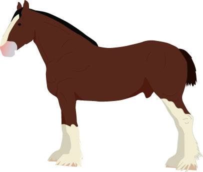 Clydesdale icon