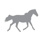Dartmoor Pony icon