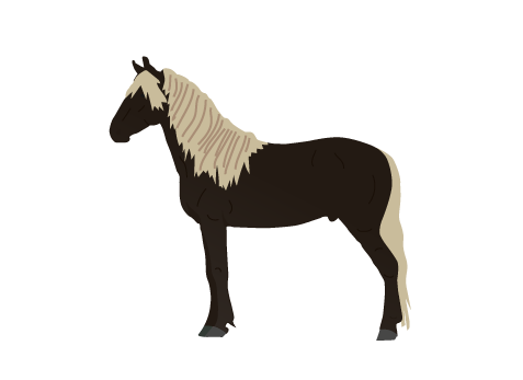 Rocky Mountain Horse icon