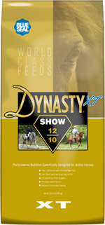 Blueseal Dynasty XT Show 12/10 image