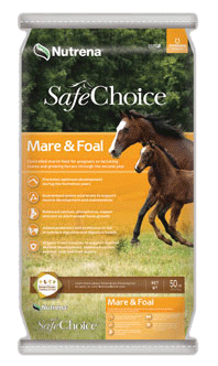 Nutrena SafeChoice Mare & Foal image