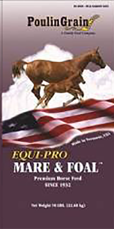 Equi-Pro Mare & Foal image