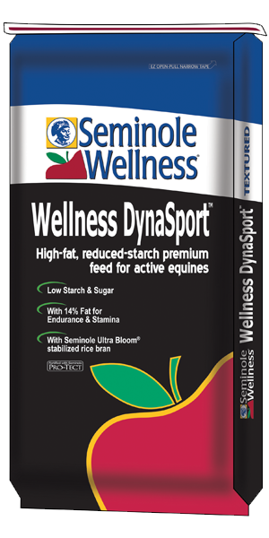 Wellness DynaSport image