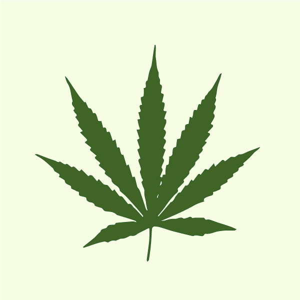 cannabis_sativa