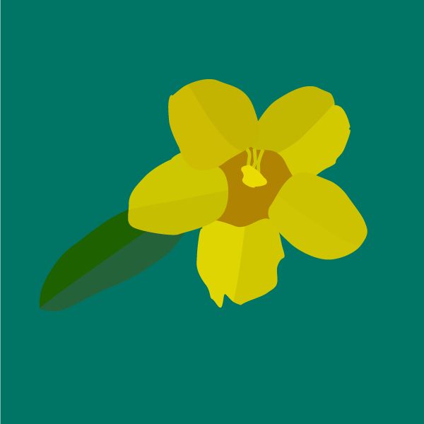 gelsemium_sempervirens