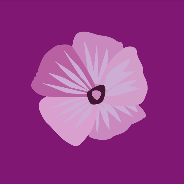malva_parviflora