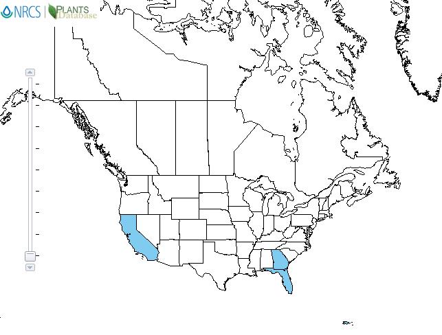 Emerald feather distribution - United States