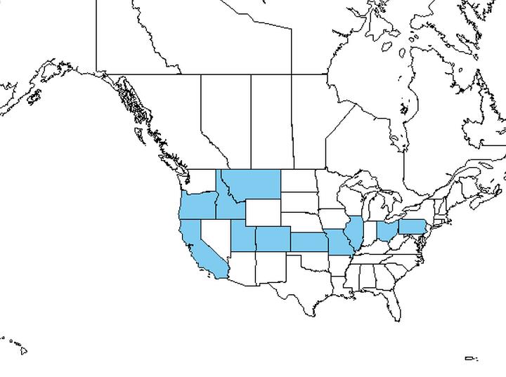 Apricot distribution - United States