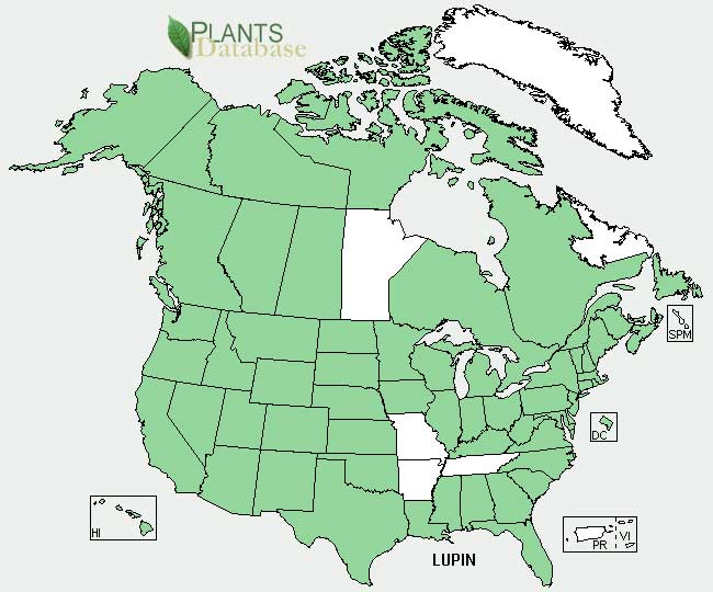 Lupine distribution - United States