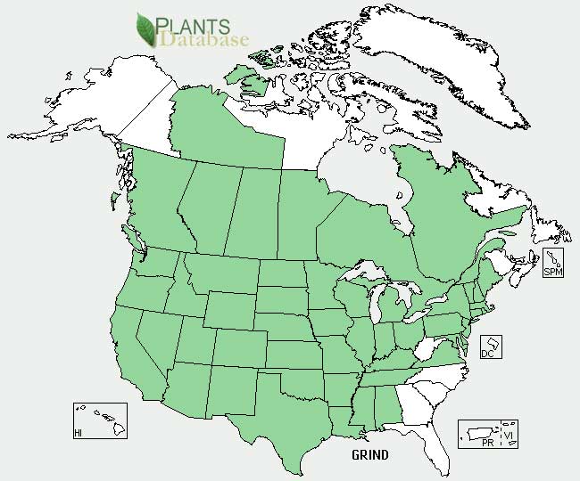 Gumweed distribution - United States