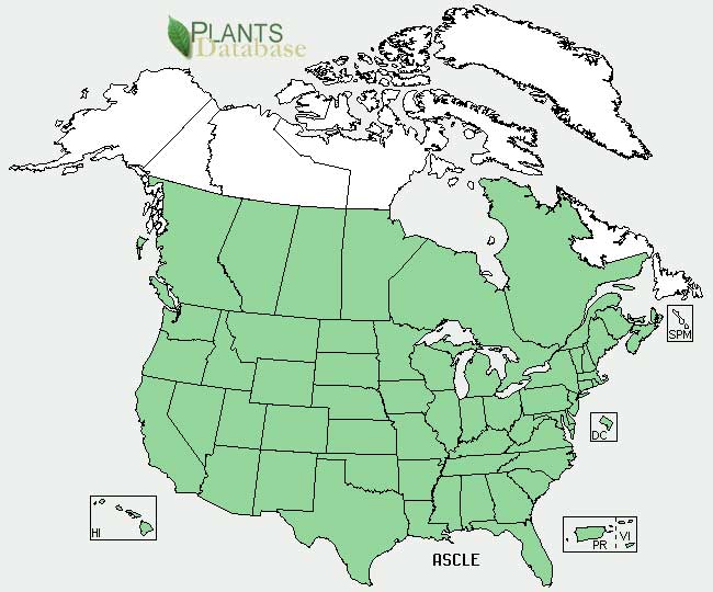 Common milkweed distribution - United States