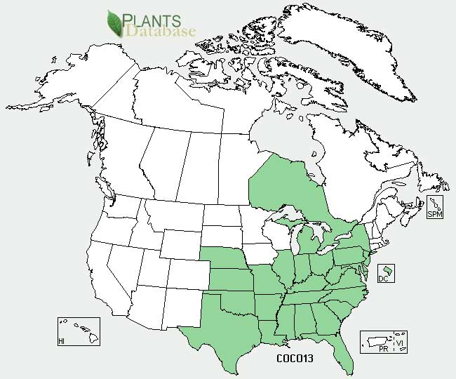 Mistflower distribution - United States