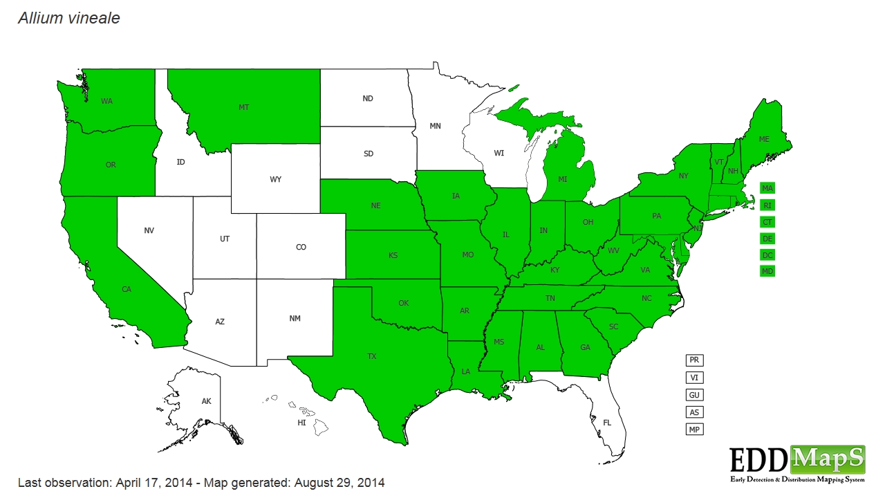 Onions distribution - United States