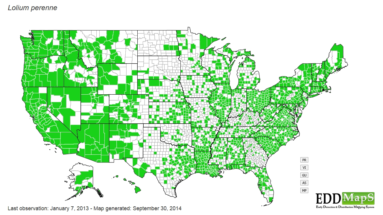 Perennial ryegrass distribution - United States