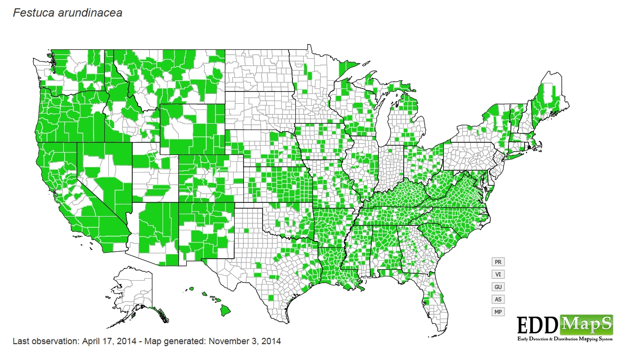 Tall fescue distribution - United States