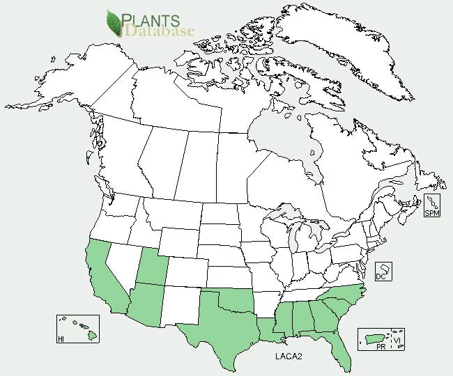 Lantana distribution - United States
