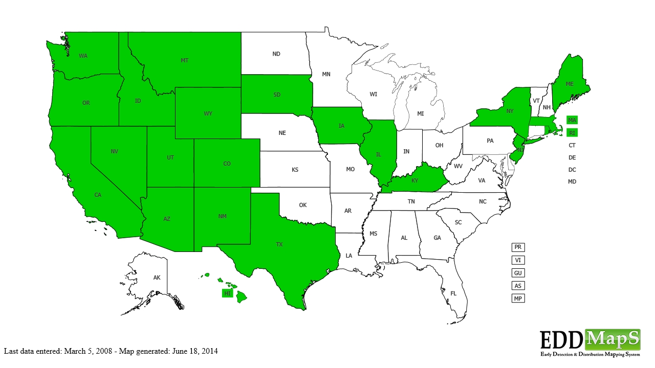 Fivehook bassia distribution - United States
