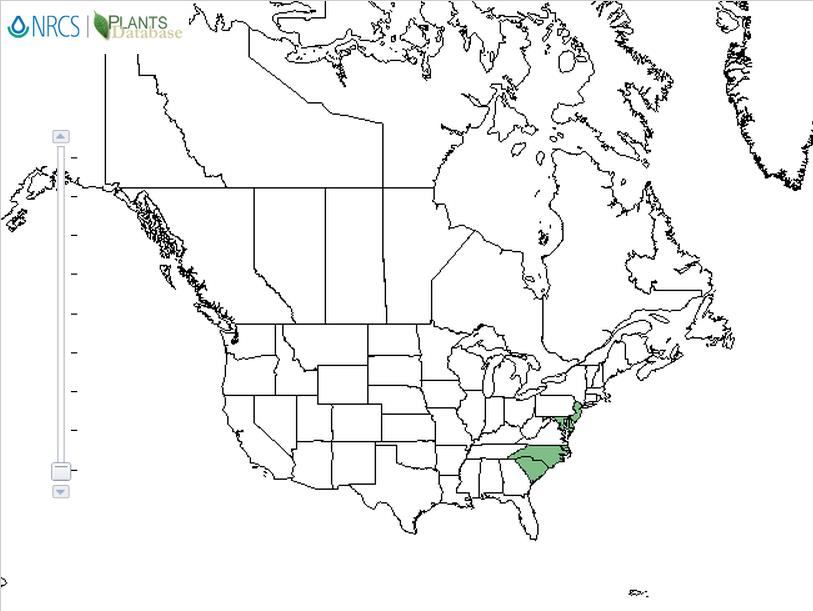 Bog asphodel distribution - United States