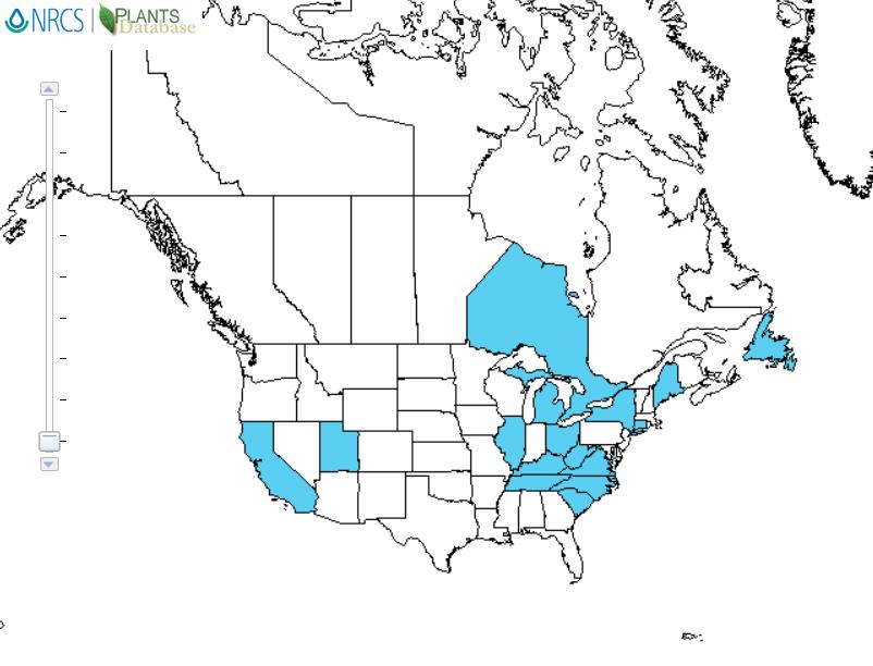 Sweet pea distribution - United States
