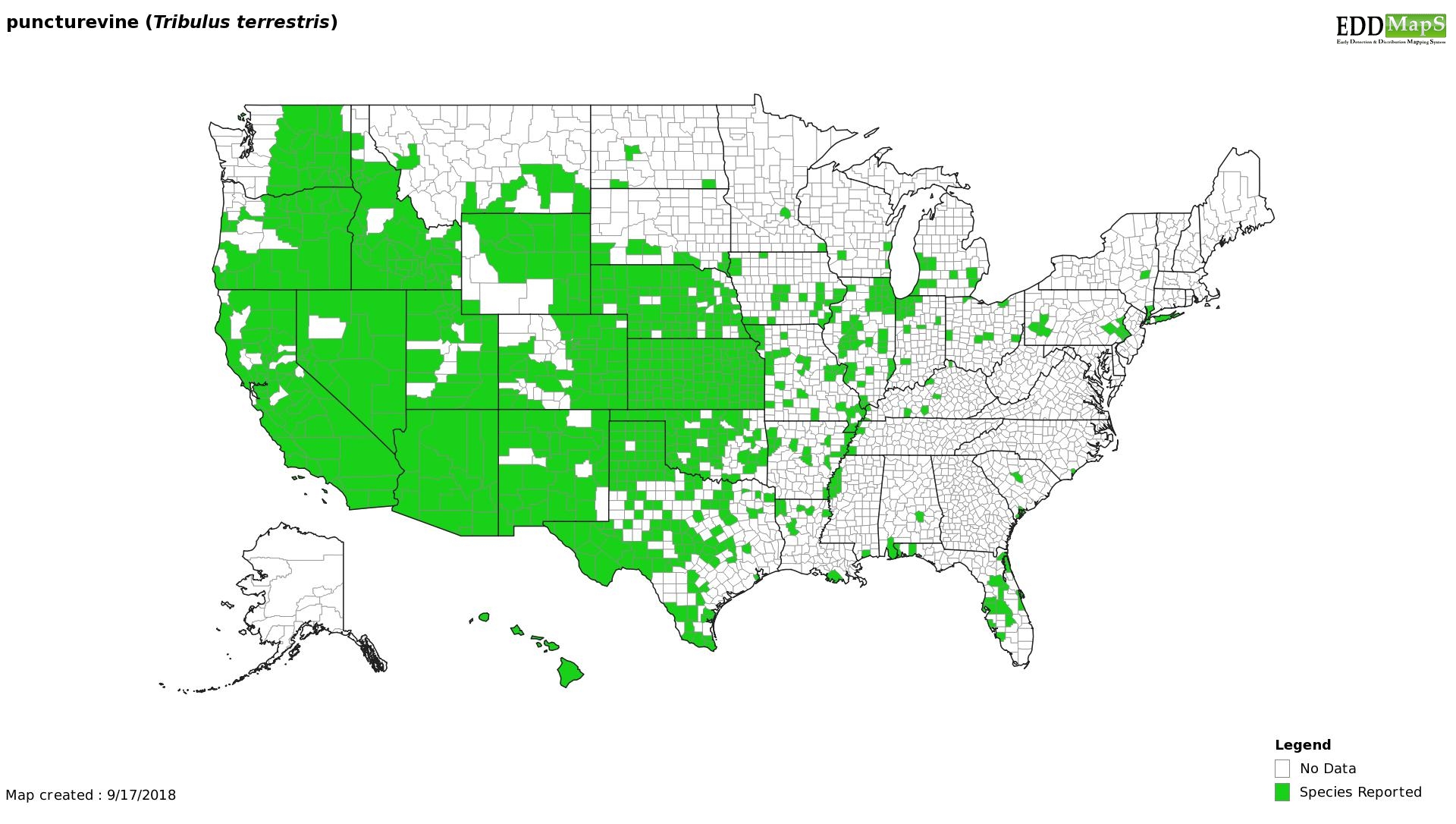 Puncture vine distribution - United States