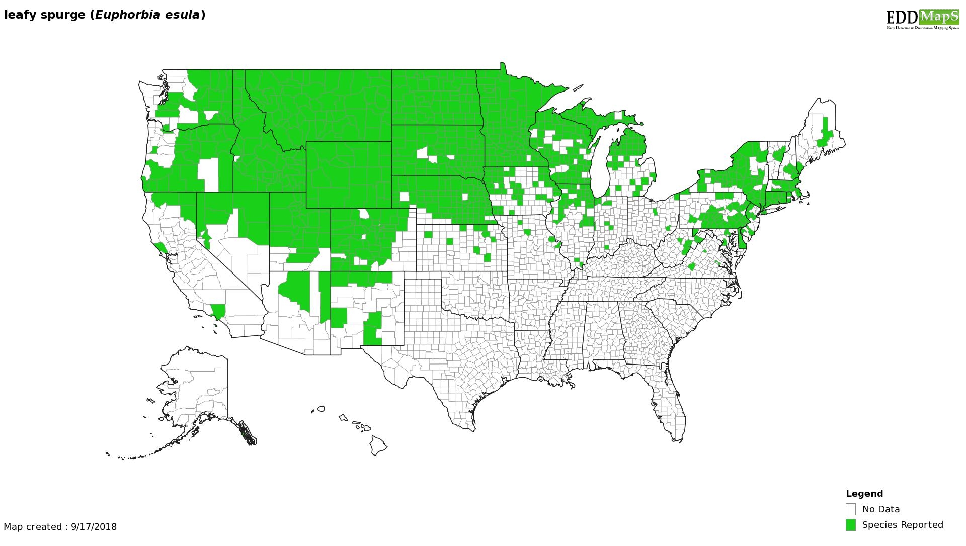 Leafy Spurge  distribution - United States