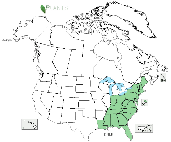 Mountain laurel distribution - United States