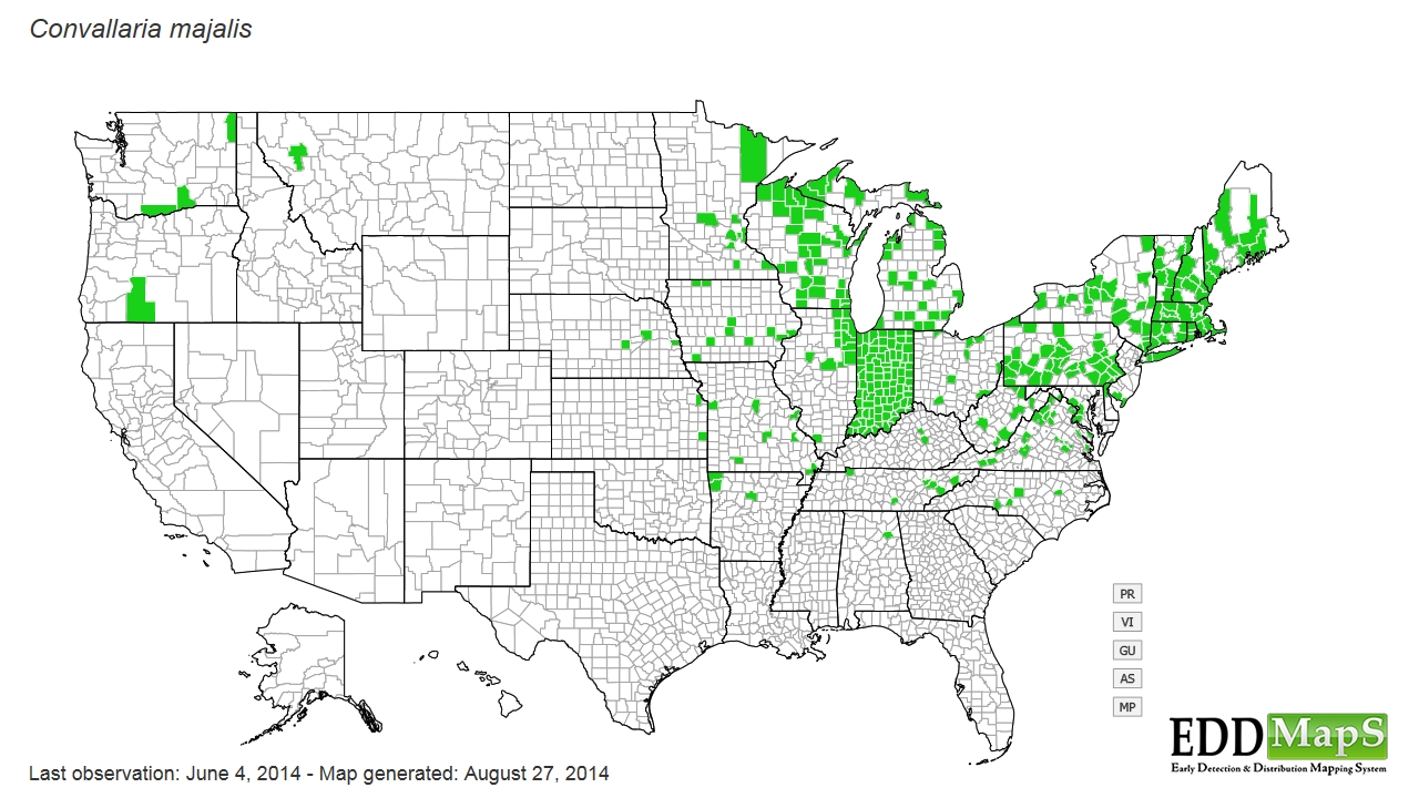 Lily of the valley  distribution - United States