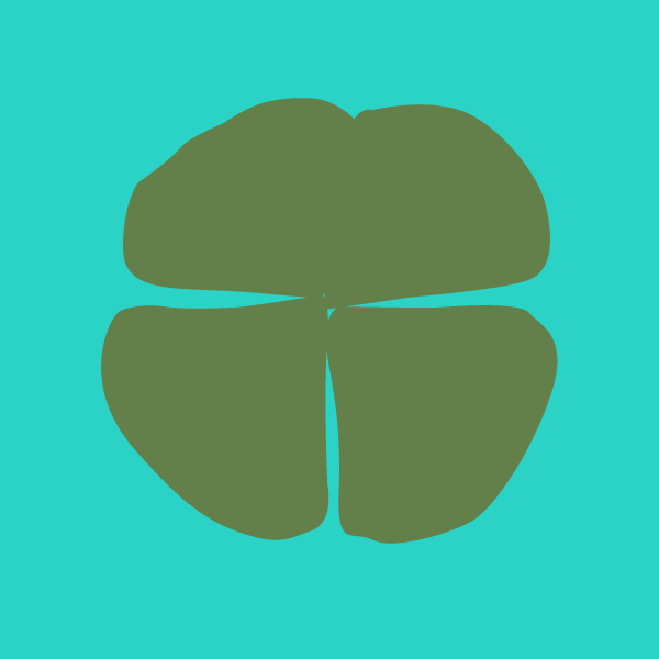 marsilea_drummondii
