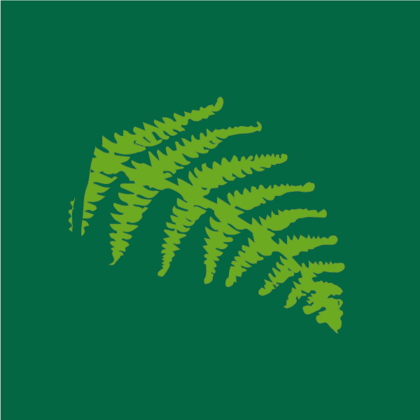 pteridium_aquilinum