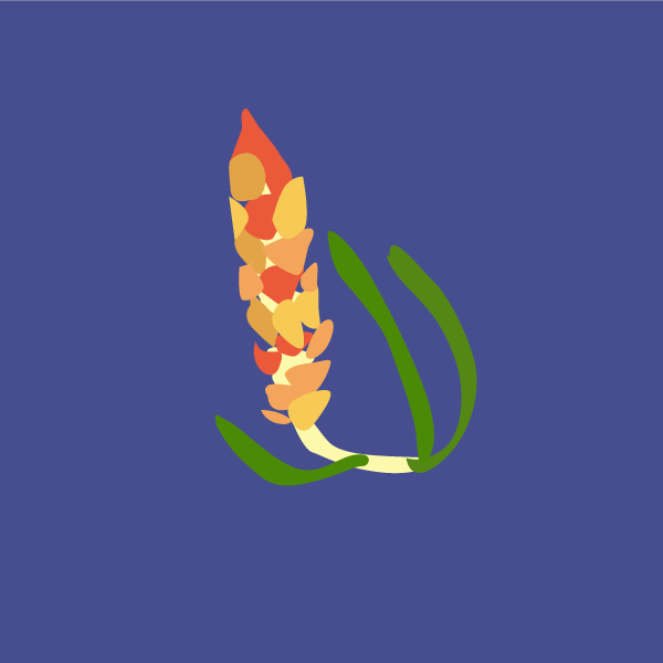 sarcobatus_vermiculatus