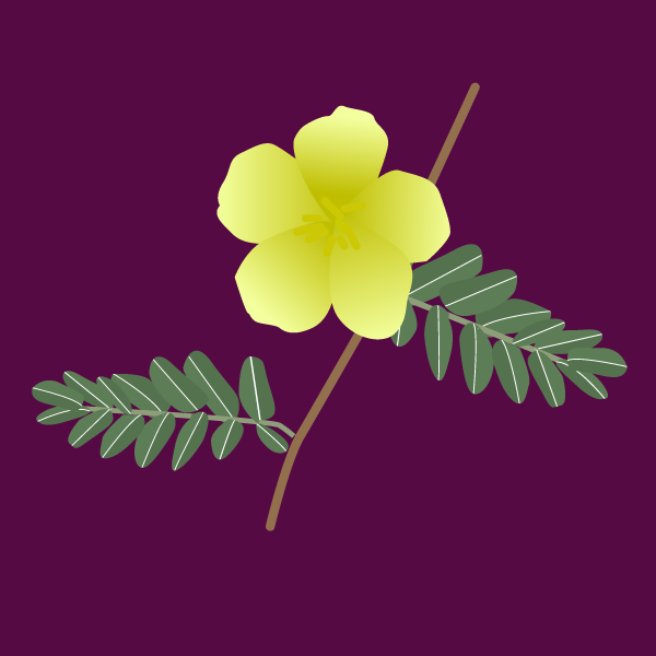 tribulus_terrestris
