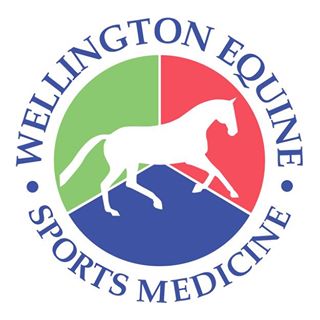 Wellington Equine Sports Medicine