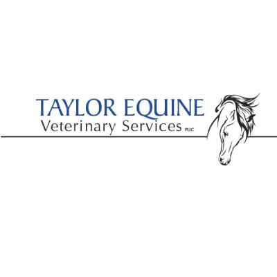 Taylor Equine Veterinary Services
