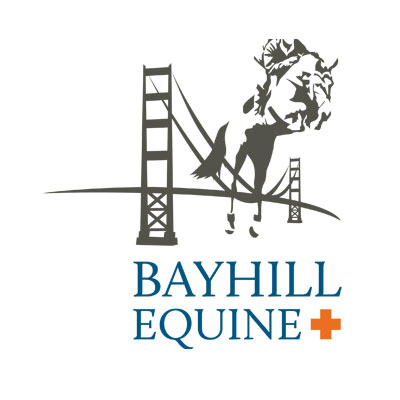 Bayhill Equine