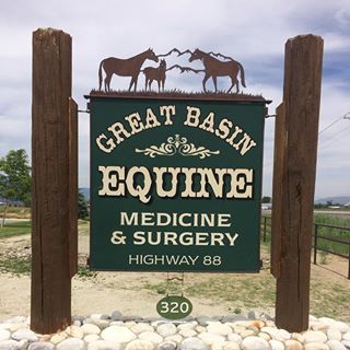 Great Basin Equine