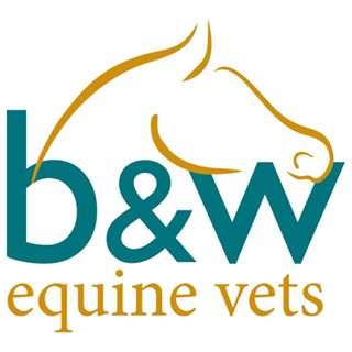 B&W Equine Group Breadstone Clinic