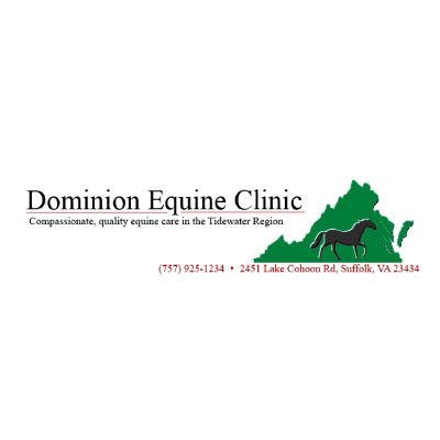 Dominion Equine Clinic