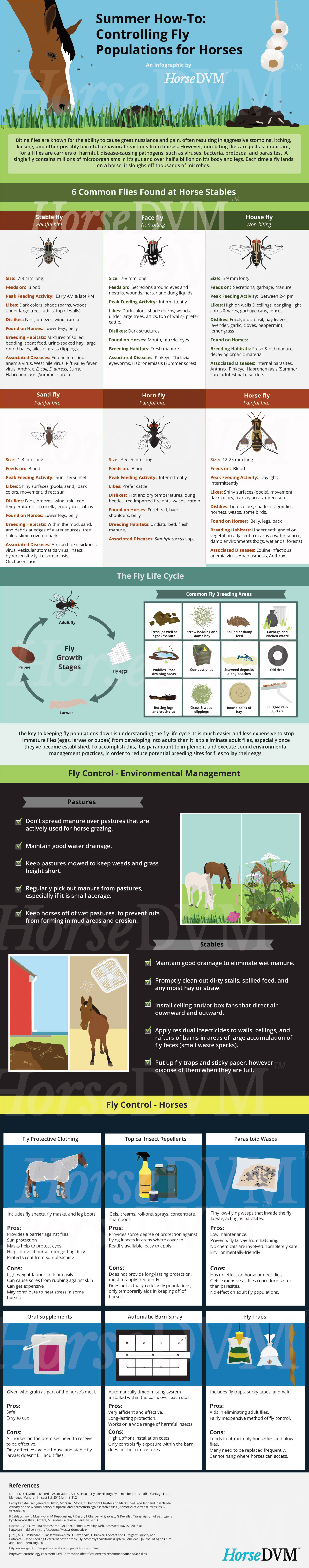 HorseDVM - horsedvm-infographic-controlling-fly-populations-for-horses