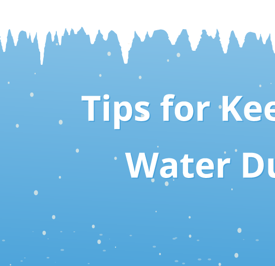 Tips for Keeping Horses Hydrated During Cold Weather