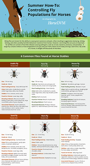 Controlling Fly Populations around Horses image